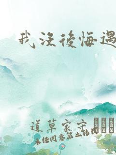 我没后悔遇见你