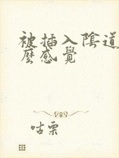 被插入阴道是什么感觉