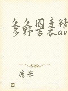 久久国产精品波多野吉衣av