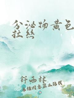 分泌物黄色透明拉丝