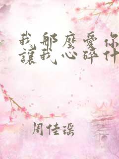 我那么爱你你却让我心碎什么歌