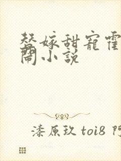 替嫁甜宠霍少别闹小说