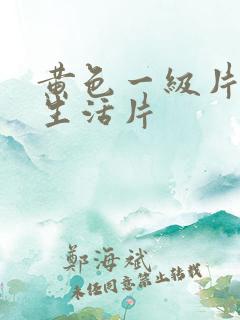 黄色一级片夫妻生活片