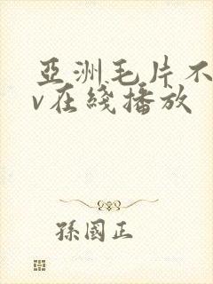 亚洲毛片不卡av在线播放