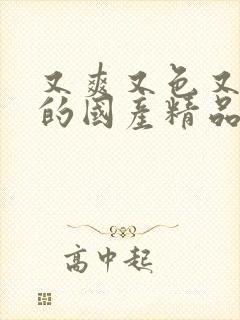 又爽又色又高潮的国产精品