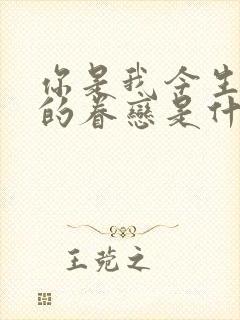 你是我今生最大的眷恋是什么歌