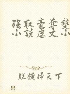 强取豪夺双男主小说虐文小说推荐