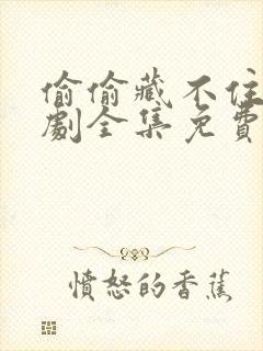 偷偷藏不住电视剧全集免费观看