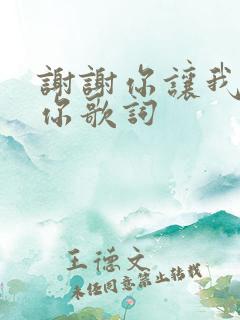 谢谢你让我遇到你歌词