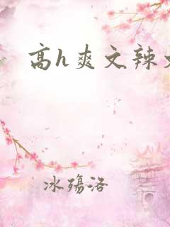 高h爽文辣文
