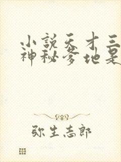 小说天才三宝:神秘爹地是大佬