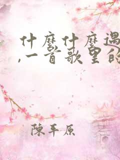 什么什么遇见你,一首歌里的歌词