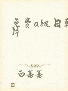 免费a级日韩长片