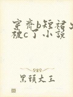 穿齐b短裙出门被c了小说