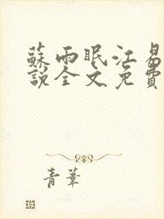 苏雨眠江易淮小说全文免费