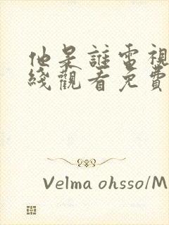 他是谁电视剧在线观看免费高清