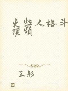 火柴人格斗动画视频