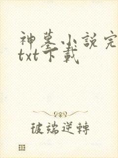 神墓小说完结版txt下载