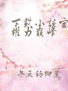 下载小说官途:权力巅峰