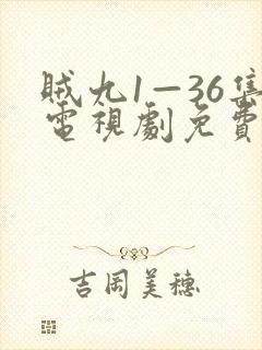 贼九1—36集电视剧免费看