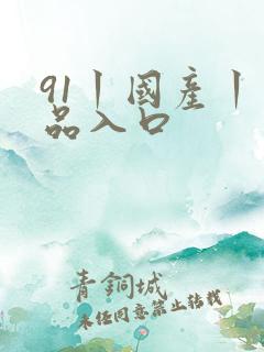 91丨国产丨精品入口
