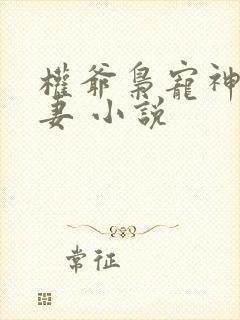 权爷枭宠神秘娇妻 小说