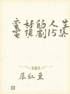 蛮好的人生观看电视剧15集完整版