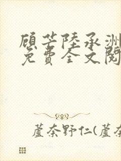 顾芒陆承洲小说免费全文阅读