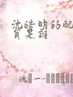 沈皓明的配音演员是谁