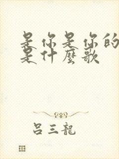 是你是你的歌词是什么歌