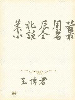 叶北辰周若妤的小说全名最新章节