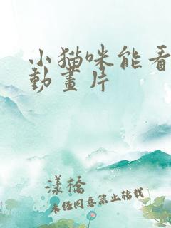 小猫咪能看懂的动画片