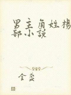 男主角姓杨的全部小说