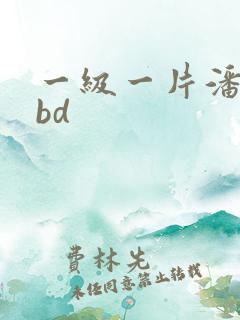 一级一片潘金莲bd