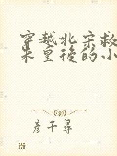 穿越北宋救公主朱皇后的小说