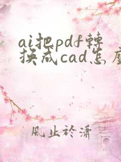 ai把pdf转换成cad怎么设置