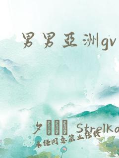 男男亚洲gv