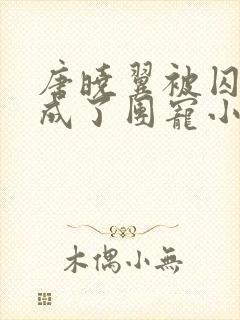 唐晓翼被囚禁后成了团宠小说名字