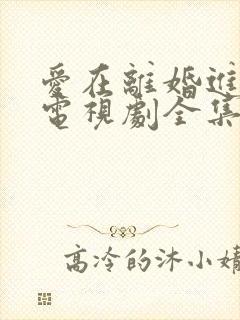 爱在离婚进行时电视剧全集免费观看