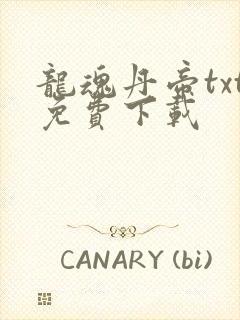 龙魂丹帝txt免费下载