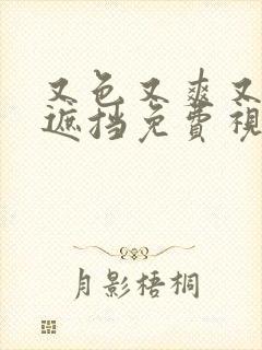 又色又爽又黄无遮挡免费视频网站