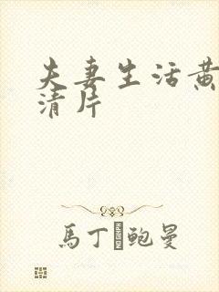 夫妻生活黄色高清片