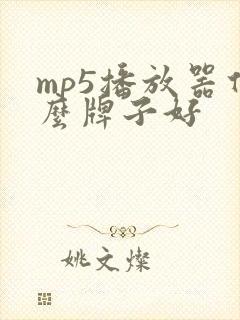 mp5播放器什么牌子好