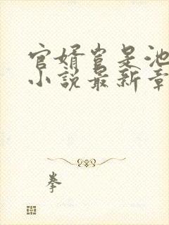 官婿岂是池中物小说最新章节