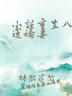 小说重生八零福运娇妻