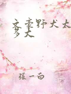 文豪野犬太宰治多大