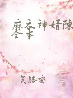 麻衣神婿陈黄皮全本