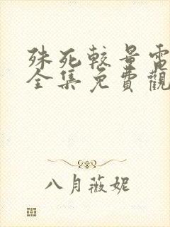 殊死较量电视剧全集免费观看