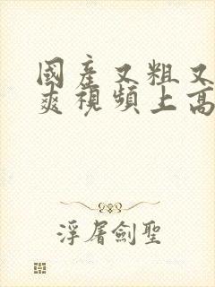 国产又粗又猛又爽视频上高潮