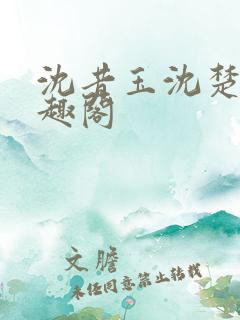 沈昔玉沈楚玉笔趣阁